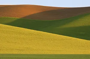 Patterned: Field Pattern