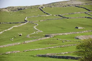 Ages: Field patterns of different ages at Malham