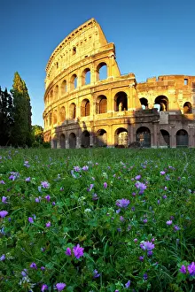 Gladiator: Field of wildflowers below the Roman Coliseum