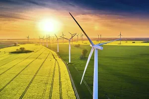 Wind: Field of wind turbines in sunset in spring