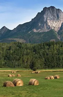 Raymond: Fields with bailed hay, Alberta, Canada