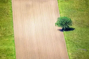 Broad: Fields in the Bugey Belley Region, Ain, France