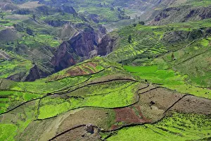 Arequipa: Fields in cups at the canyon of the Rio Colca, Colca