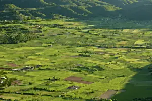 Ploughed: Fields in evening light Valle di Frascaro, near
