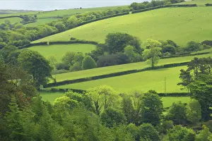 Pastural: Fields around Malmsmead