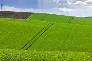 Arable: Fields near Lommatzsch