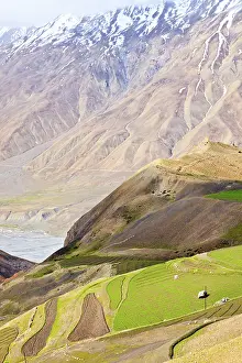 Pradesh: Fields in Spiti Valley in Himalayas. Himachal Pradesh