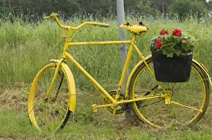 Bicycle: Fiets