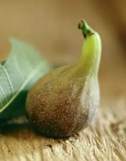 Carcia: Fig