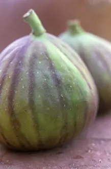 Carcia: Fig