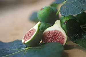 Ficus: Fig