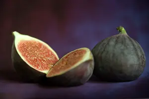 Figs: Fig - in studio