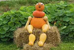 Upper: Figure made of Pumpkins (Cucurbita), Upper austria