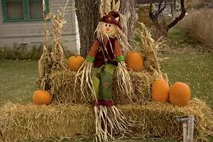 Commemorate: Figure and pumpkins, set up to commemorate Hallowe'en