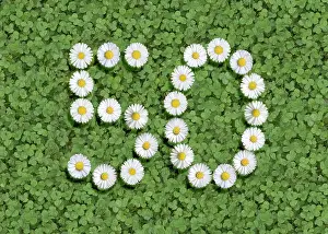 Numbers: Figures