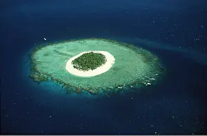 Reefs: FIJI - Malamalu Island, Mamanuca group