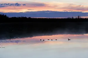 Scaninavia: Finland - Forest & lake