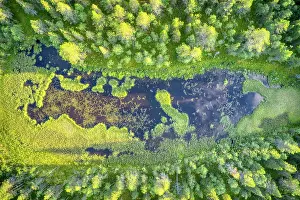 Michele Molinari: Finland, Lapland. Aerial view of a marsh in a forest