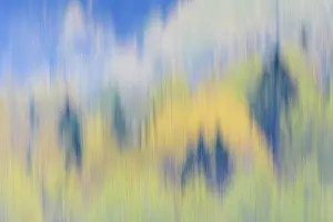 Morris: Finland, Nuuksio National Park. Abstract