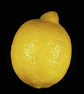 Limon: Whole Fino Lemon