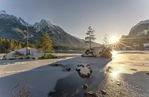 Berchtesgaden: Two fir trees on fields in the icy Hintersee at