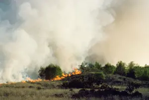 Fire: Fire - burning heathland