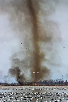 Squaw: Fire Devil and Snow Geese