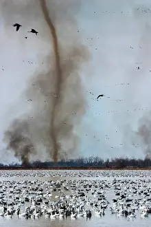 Squaw: Fire Devil and Snow Geese