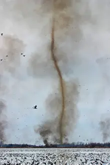 Squaw: Fire Devil and Snow Geese