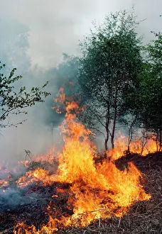 Heaths: Fire - Heathfire