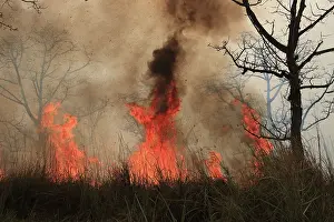 Fires: Fire lit to burn down high grass vegetation