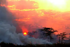 Wildfire: Fire - lit by Maasai people to promote new grass