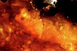 Photomicrography: Fire Opal