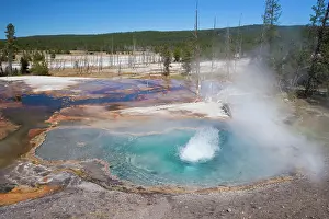 Metals: Firehole Spring