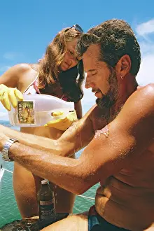 Auscape International: First aid treatment for sting of Box jellyfish (Chironex