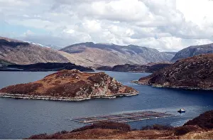 Salmon: FISH FARM - ATLANTIC SALMON CAGES