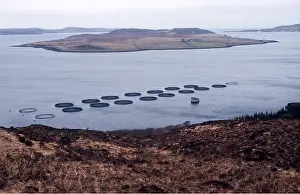 Loch: FISH FARM - ATLANTIC SALMON CAGES