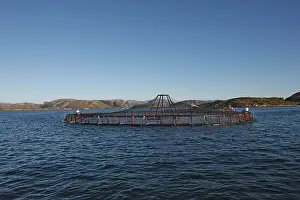 Commerce: Fish Farming - Salmon in fjord