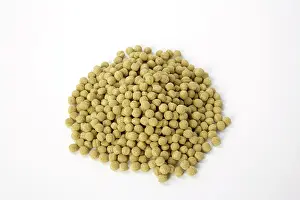 Pellets: Fish Food pellets