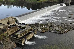 Steelhead: Fish Ladder at Winchester Dam