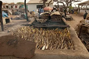 Smoked: Fish being smoked