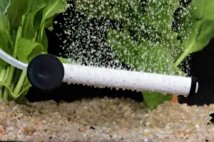 Tanks: Fish tank - air diffuser