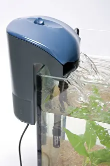 Tanks: Fish Tank - exterior pump