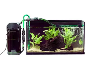 Tanks: Fish Tank - exterior pump with filter