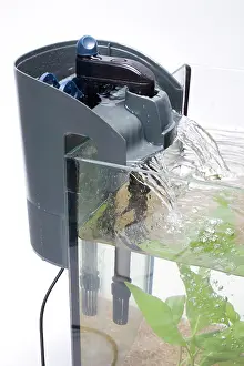 Tanks: Fish tank - with filter