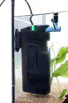 Tanks: Fish tank - with filter
