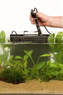 Tanks: Fish Tank - with thermostat