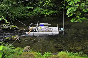 Study: Fish Trap