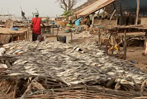 Smoked: Fish waiting to be smoked