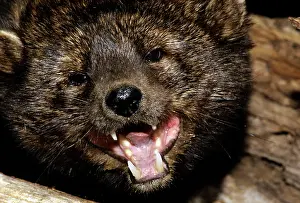 Fisher: Fisher - defensive posture
